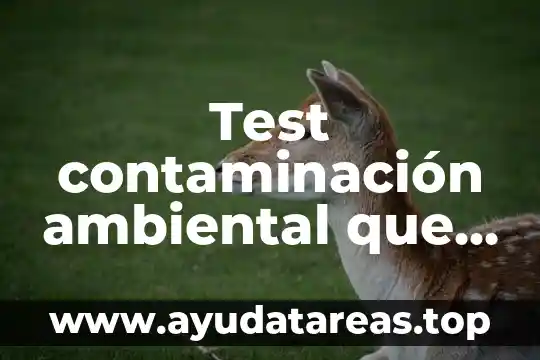 Test contaminación ambiental que es el medio ambiente