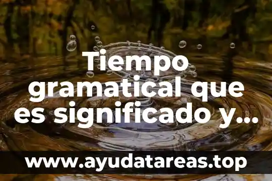 Que es la desatencion de los padres significado 5 Tiempo gramatical que es significado y concepto
