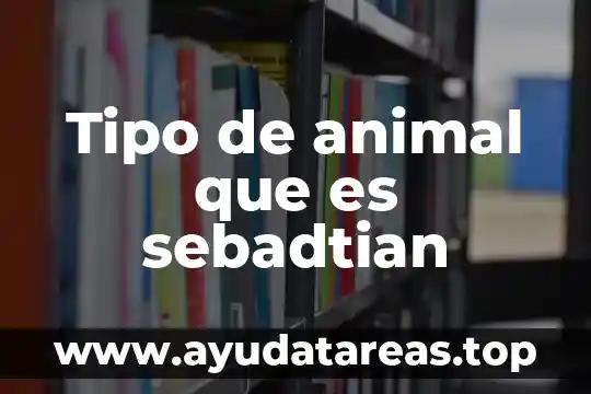 Que es el animal tijerillas 8 Tipo de animal que es sebadtian