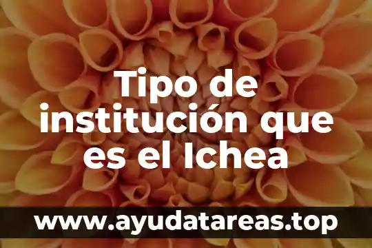 Qué es un hábitat definición de una institución 5 Tipo de institución que es el Ichea