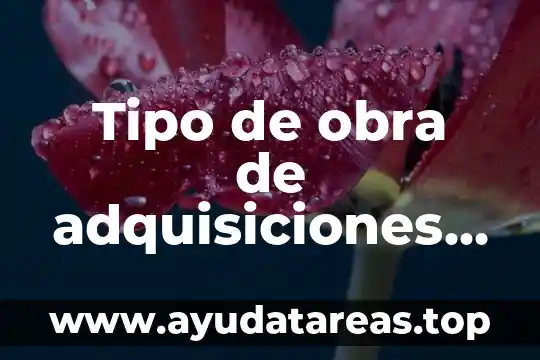 Tipo de obra de adquisiciones que es