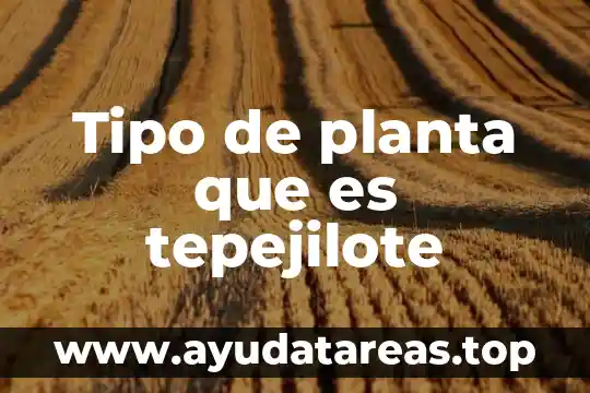 Que es lo que necesita una planta medicinal para crecer 3 Tipo de planta que es tepejilote
