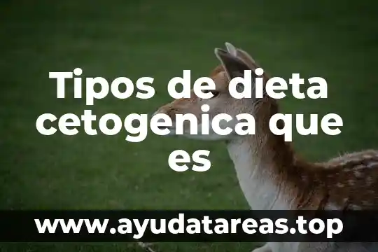 Que es dieta y sus tipos 5 Tipos de dieta cetogenica que es