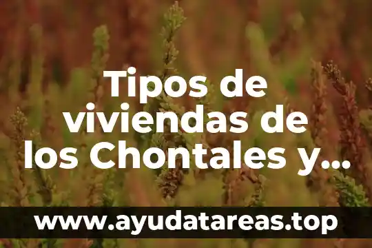 Tipos de viviendas de los Chontales y de qué están hechas