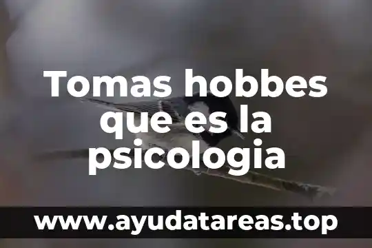 Qué es el amor romántico psicología 5 Tomas hobbes que es la psicologia