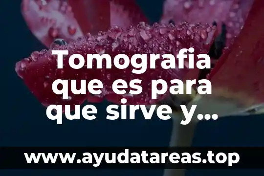 Tomografia que es para que sirve y tipos