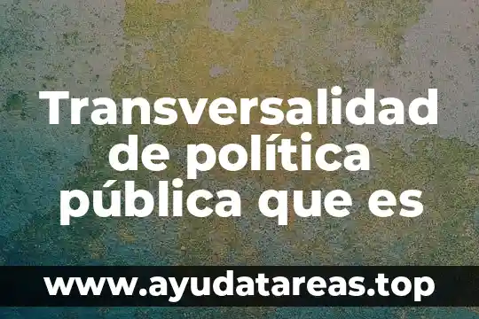Que es politica del estado 4 Transversalidad de política pública que es