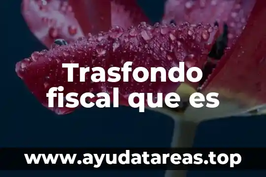 Trasfondo fiscal que es