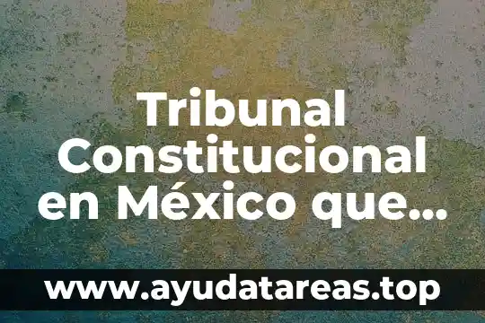 Tribunal Constitucional en México que es