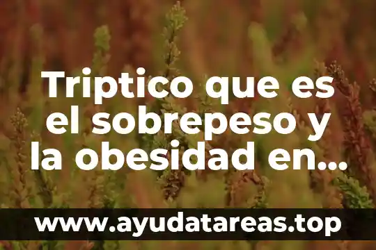 Triptico que es el sobrepeso y la obesidad en mexico