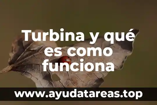 Qué es la filosofía de la enfermeria 8 Turbina y qué es como funciona