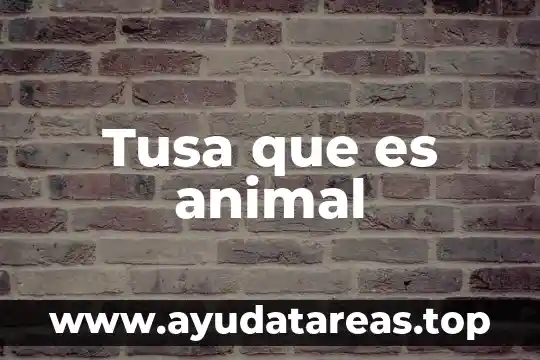 Animal tucán que es lo que comen 3 Tusa que es animal