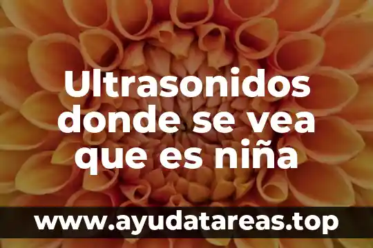 Que es el agua subterranea y donde se encuentra 6 Ultrasonidos donde se vea que es niña