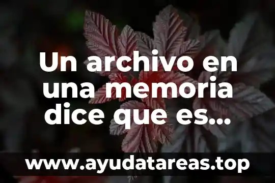 Que es mas grande saturno o la luna 6 Un archivo en una memoria dice que es demasiado grande