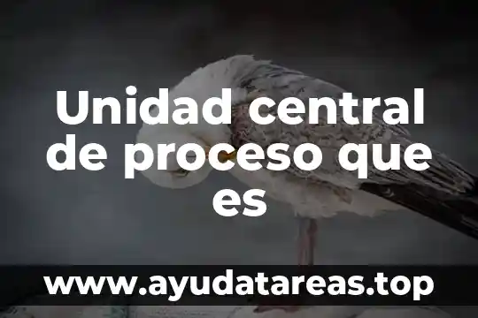 Que es un prebiotico en la calidad del agua 5 Unidad central de proceso que es