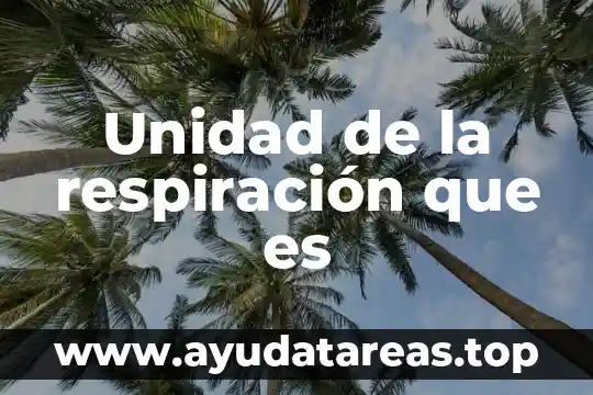 Unidad de la respiración que es