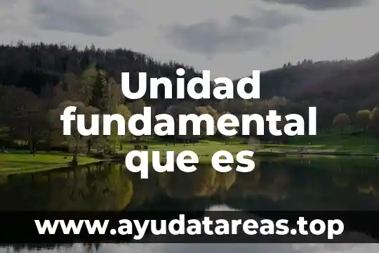 Unidad fundamental que es