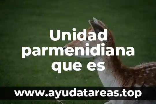 Unidad parmenidiana que es
