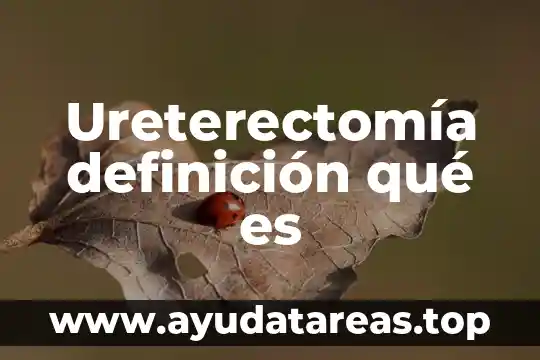 Ureterectomía definición qué es