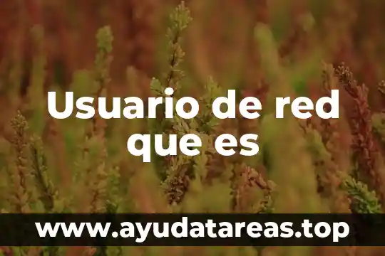 Que es el sulfito red 7 Usuario de red que es