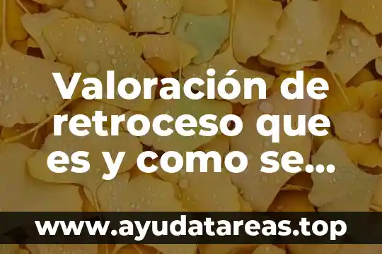 Que es sagarpa y que investigaciones hace 4 Valoración de retroceso que es y como se hace