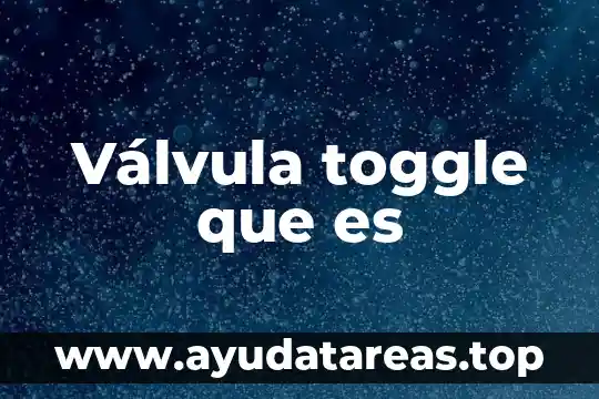 Válvula toggle que es