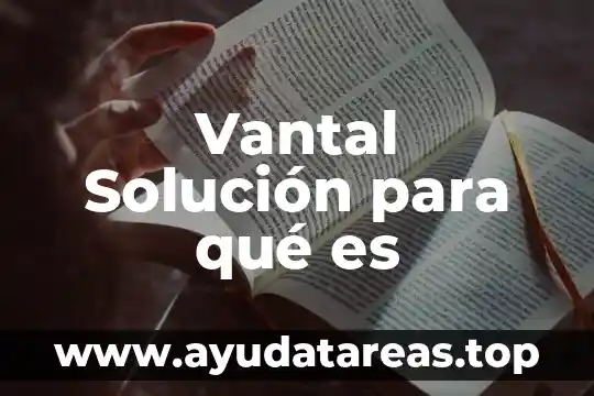 Vantal Solución para qué es