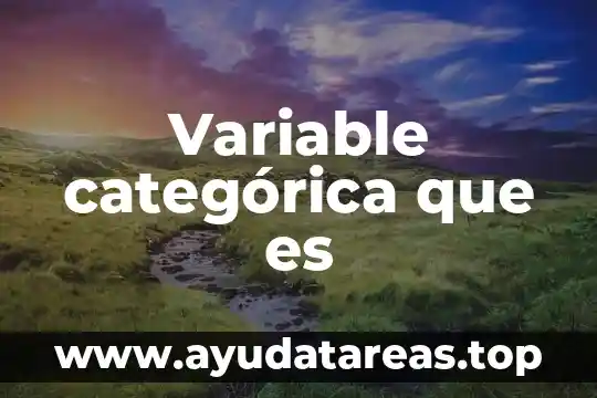 Que es una variable en una tesis ejemplos 8 Variable categórica que es