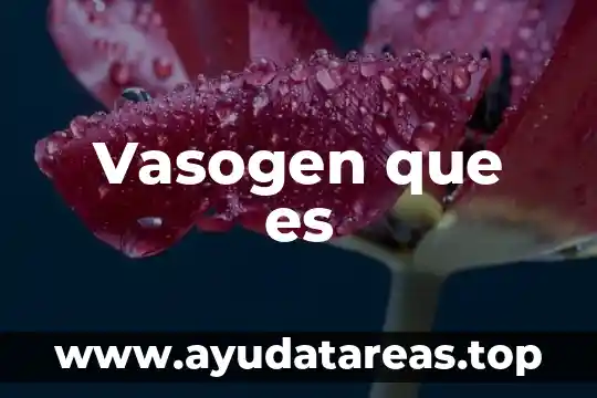Vasogen que es