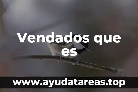 Seres mitol贸gicos que es 6 Vendados que es