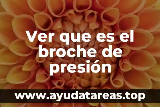 Que es presión arterial media diastolica en vigilia 5 Ver que es el broche de presión