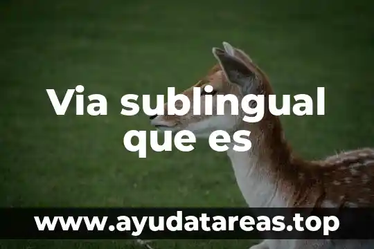 Via paracelular que es 3 Via sublingual que es