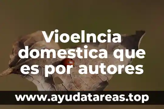 Que es un principio en metodologia segun autores 5 Vioelncia domestica que es por autores