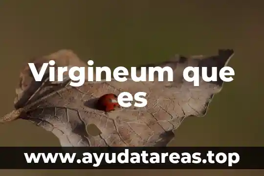 Que es una planta bioetanol 7 Virgineum que es
