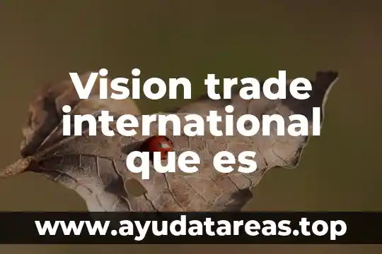 Que es la vision sistémica de la salud 8 Vision trade international que es
