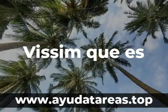 Vissim que es