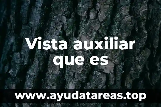 Vista auxiliar que es