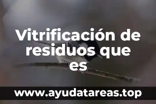 Vitrificación de residuos que es