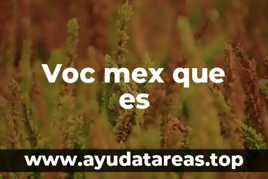 Qué es el número recíproco 6 Voc mex que es