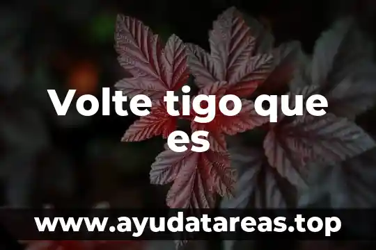 Variantes regionales que es brusqui 3 Volte tigo que es