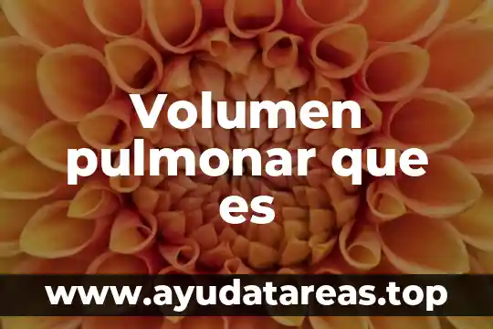 Volumen estático pulmonar que es 6 Volumen pulmonar que es