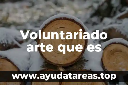 Que es un isomero y sus tipos 7 Voluntariado arte que es