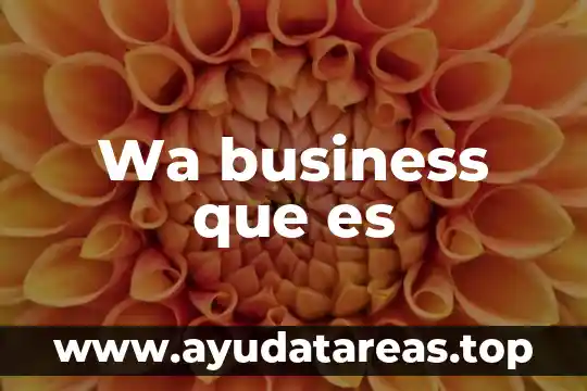 Zoom polycom que es 7 Wa business que es