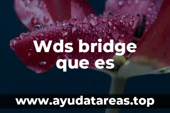 Qué es pit en bridge en informática 3 Wds bridge que es