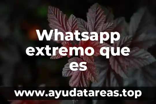 Whatsapp extremo que es