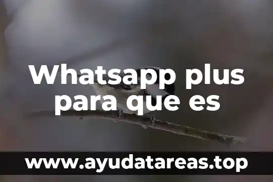 Whatsapp plus para que es