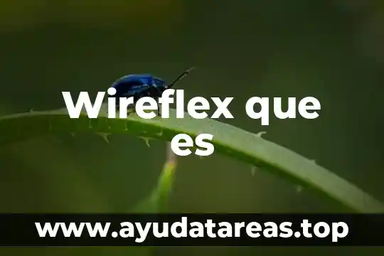 Wireflex que es