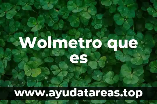 Qué es constructo definición 3 Wolmetro que es