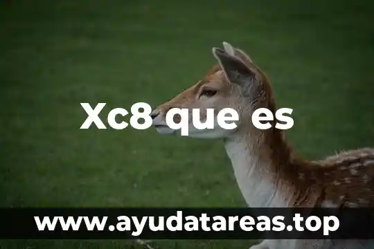 Que es el principio de irrenunciablidad de los trabajadores 4 Xc8 que es