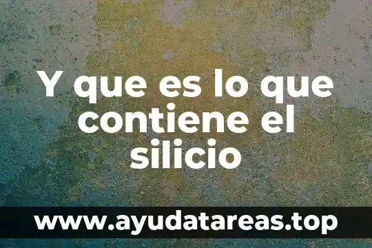 Y que es lo que contiene el silicio